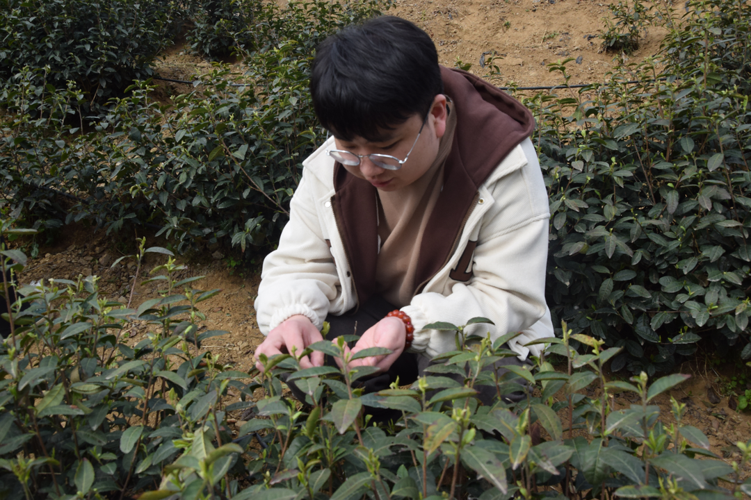 点击图片进入下一页 点击图片进入下一页